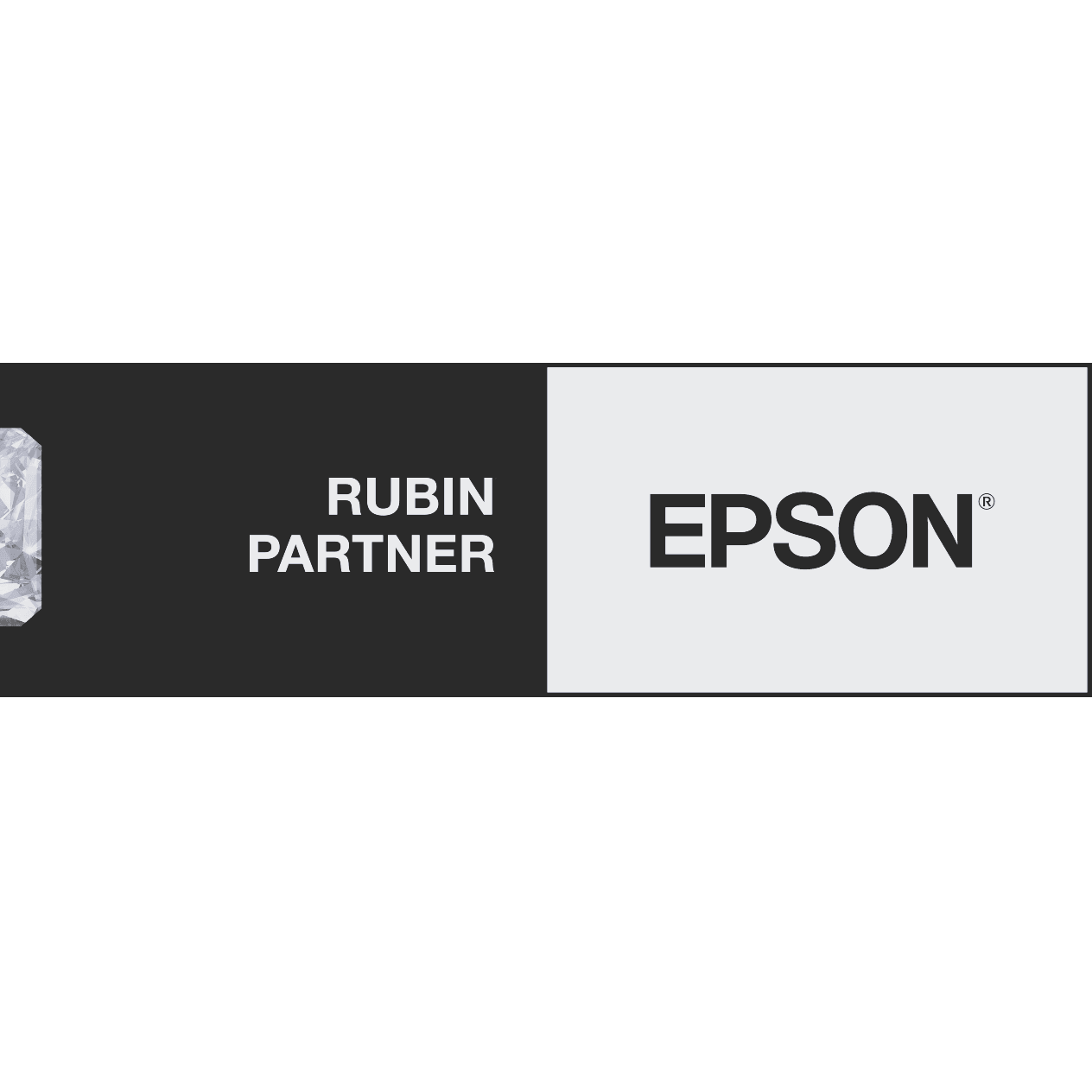 Epson Rubin Partner
